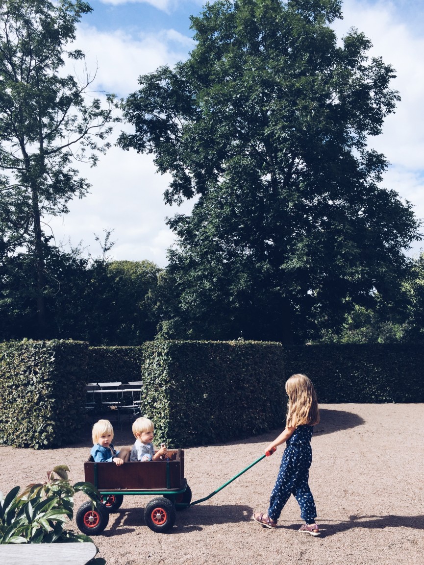 Processed with VSCO with a5 preset