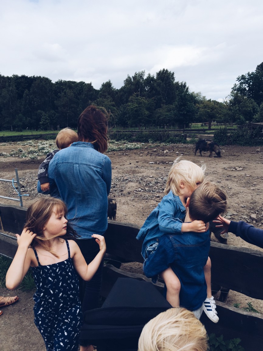 Processed with VSCO with a5 preset