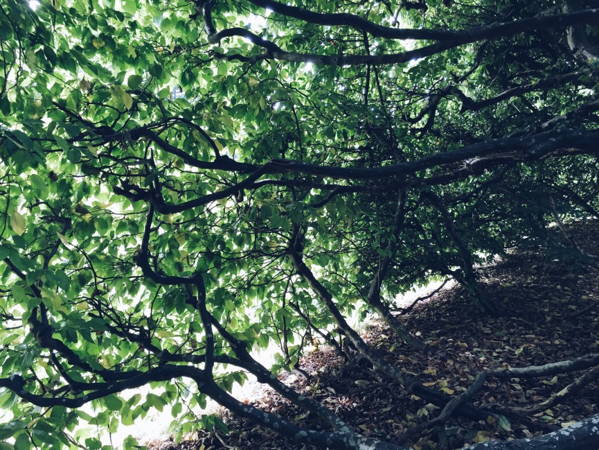 Processed with VSCO with a5 preset