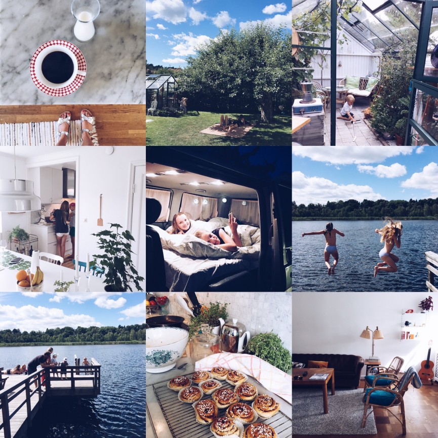 mvh sverige semester 10