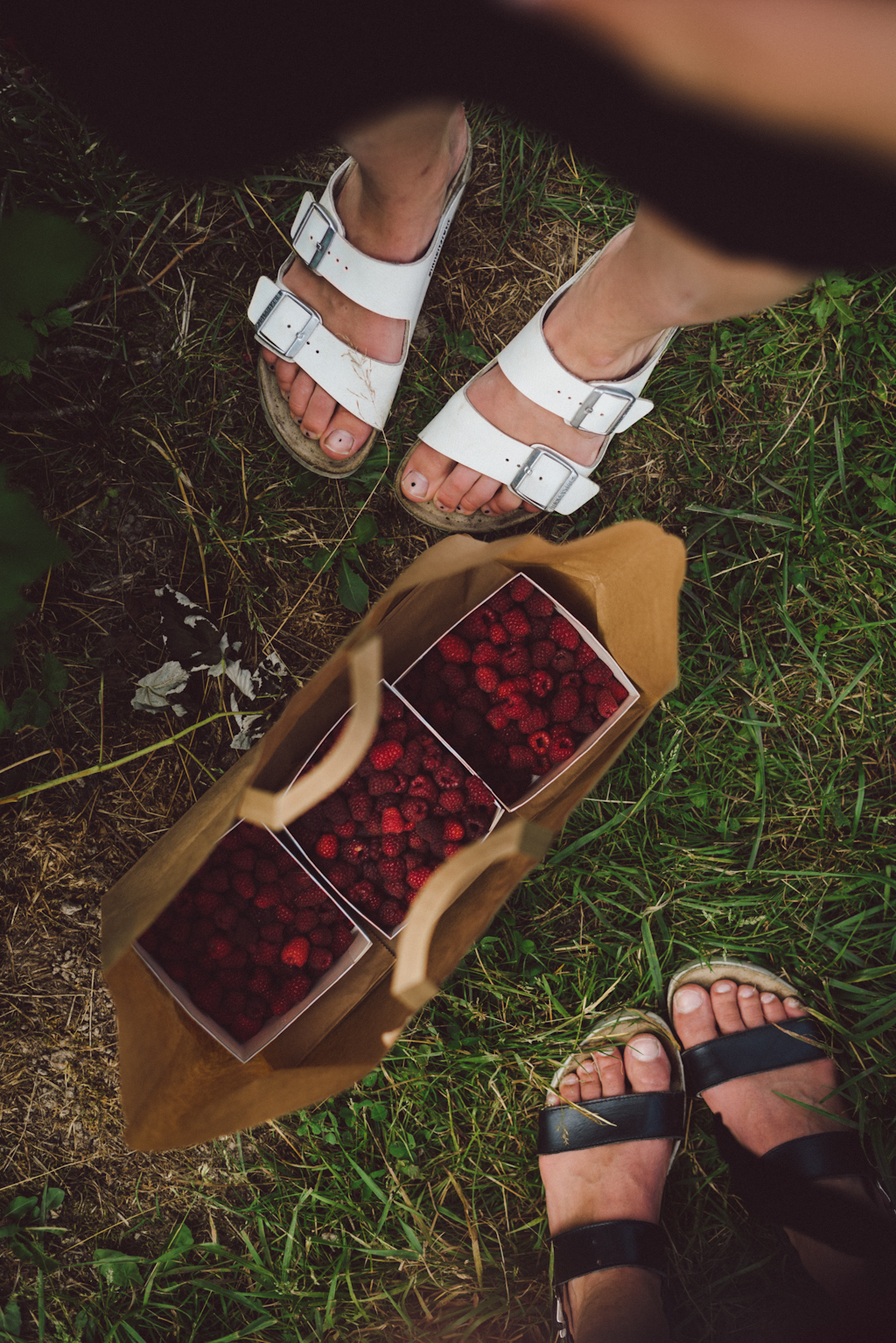 Raspberry picking by Babes in Boyland